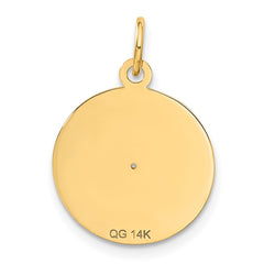 14k Record Album Charm
