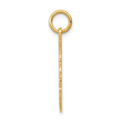 14k RN Registered Nurse Disc Charm - 3