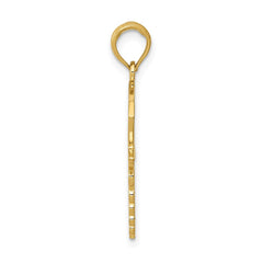 14k Caduceus w/Nurses Cap Pendant
