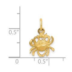 14k Satin Diamond-cut Cancer Zodiac Charm