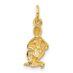 14k Satin Diamond-cut Aquarius Zodiac Charm - 2
