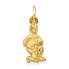 14k Satin Diamond-cut Aquarius Zodiac Charm - 2