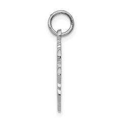 14k White Gold RN Registered Nurse Disc Charm