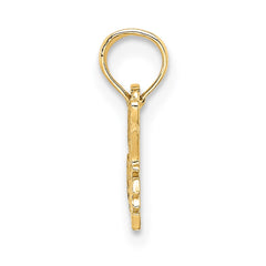 14K SPECIAL NIECE Charm