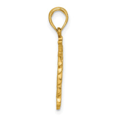 14K Polished Lion Head with Crown Pendant