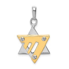 14k Two-tone Star of David Pendant - 5