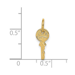 14K Polished 3D Rounded Top Key Charm - 2