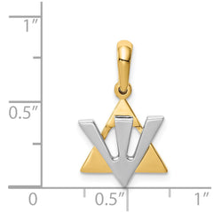 14K Two-tone Star of David w/Shin Charm