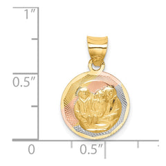14K w/Rose and White Rhodium D/C Baptism Pendant