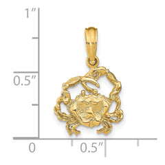 14K Textured Crab Charm - 2