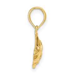 14K Polished Textured Fish Charm
