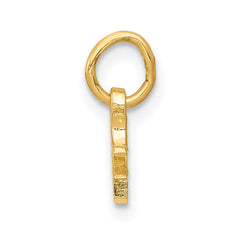 14k Chinese Symbol Good Luck Charm - 3