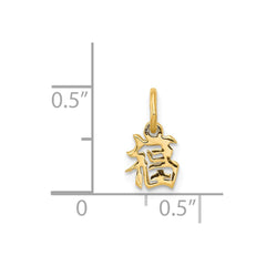 14k Chinese Symbol Good Luck Charm - 3