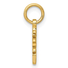 14k Solid Polished Chinese Long Life Charm - 2