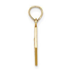 14K Caduceus Textured Back Medical Charm