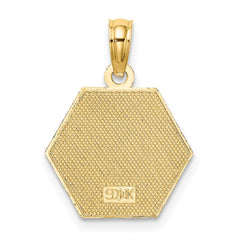 14K Caduceus Textured Back Medical Charm