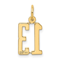 14k Small Elongated Number 13 Charm