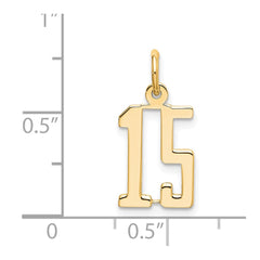 14k Small Elongated Number 15 Charm