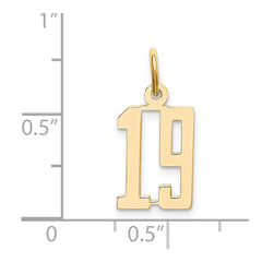 14k Small Elongated Number 19 Charm