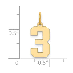 14k Medium Polished Number 3 Charm - 2