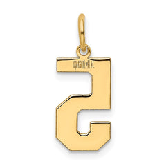 14k Medium Polished Number 5 Charm - 2