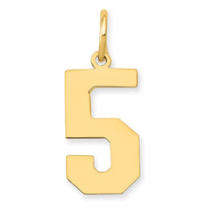 14k Medium Polished Number 5 Charm - 2