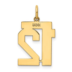 14k Medium Polished Number 12 Charm