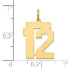 14k Medium Polished Number 12 Charm