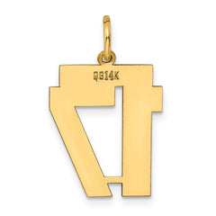 14k Medium Polished Number 17 Charm - 2
