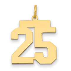 14k Medium Polished Number 25 Charm - 2