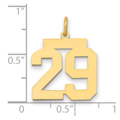 14k Medium Polished Number 29 Charm - 2