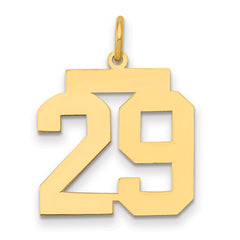 14k Medium Polished Number 29 Charm - 2