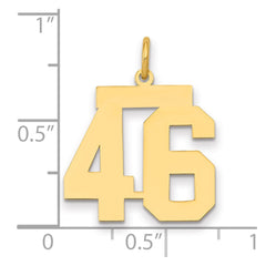 14k Medium Polished Number 46 Charm
