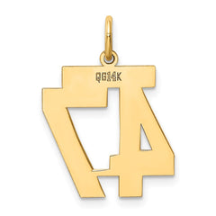 14k Medium Polished Number 47 Charm - 2