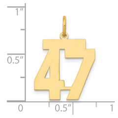 14k Medium Polished Number 47 Charm - 2