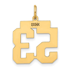 14k Medium Polished Number 53 Charm
