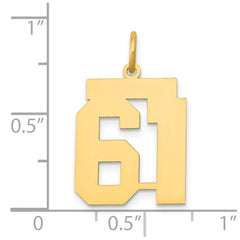 14k Medium Polished Number 61 Charm