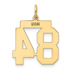 14k Medium Polished Number 84 Charm - 2