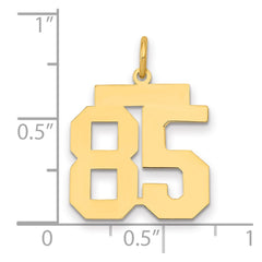 14k Medium Polished Number 85 Charm - 2