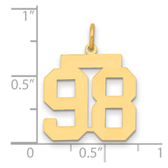 14k Medium Polished Number 98 Charm - 2
