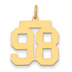 14k Medium Polished Number 98 Charm - 2