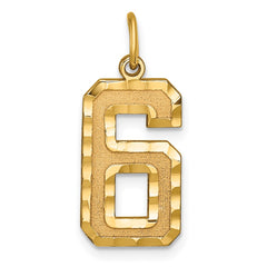 14k Large Brushed Diamond-cut Number 6 Charm