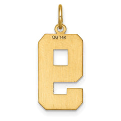 14k Large Brushed Diamond-cut Number 9 Charm