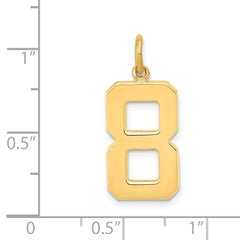14k Large Polished Number 8 Charm
