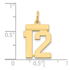 14k Small Polished Number 12 Charm