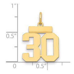14k Small Polished Number 30 Charm
