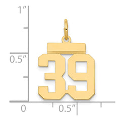 14k Small Polished Number 39 Charm