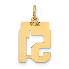14k Small Polished Number 51 Charm