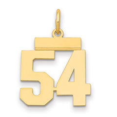 14k Small Polished Number 54 Charm - 2