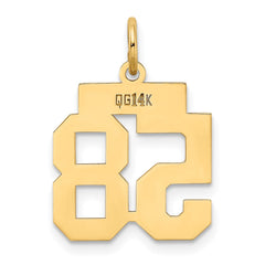 14k Small Polished Number 58 Charm - 2